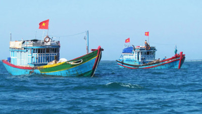 Muốn kinh doanh vận tải biển nội địa phải có ít nhất bao nhiêu tàu mang cờ Việt Nam?