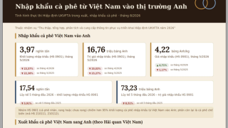 Tình hình thực thi hiệp định UKVFTA trong xuất, nhập khẩu cà phê - tháng 8/2026 (miễn phí)