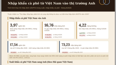 Tình hình thực thi hiệp định UKVFTA trong xuất, nhập khẩu cà phê - tháng 8/2026 (miễn phí)