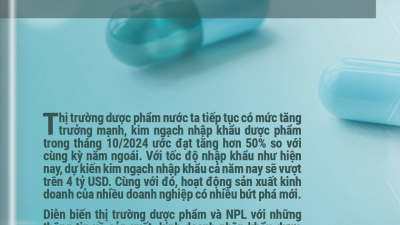 Thông tin thị trường dược phẩm và NPL 10 tháng năm 2024 và dự báo