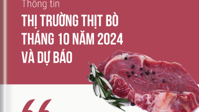 Thông tin thị trường thịt bò tháng 10 năm 2024 và dự báo