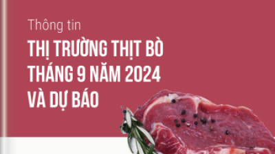 Thông tin thị trường thịt bò tháng 9 năm 2024 và dự báo