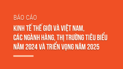 Báo cáo kinh tế thế giới và Việt Nam, các ngành hàng, thị trường tiêu biểu năm 2024 và triển vọng năm 2025