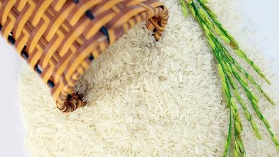 Thông tin mặt hàng gạo – sản xuất, tiêu thụ tháng 02 năm 2025 và dự báo