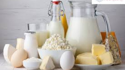 Thông tin thị trường sữa tháng 2/2025 và dự báo
