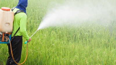 Thông tin thị trường thuốc trừ sâu và nguyên liệu tháng 02 năm 2025 và dự báo