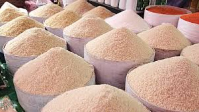THÔNG TIN MẶT HÀNG GẠO – SẢN XUẤT, TIÊU THỤ THÁNG 03 NĂM 2025 VÀ DỰ BÁO