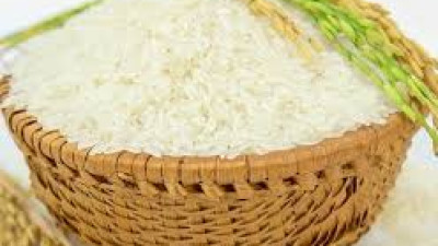 THÔNG TIN MẶT HÀNG GẠO – SẢN XUẤT, TIÊU THỤ THÁNG 05 NĂM 2025 VÀ DỰ BÁO