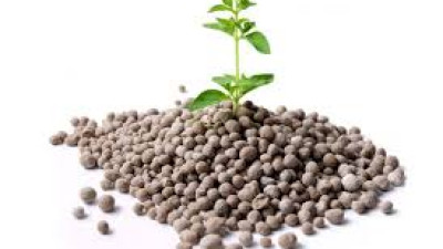 THÔNG TIN THỊ TRƯỜNG PHÂN BÓN 6 THÁNG ĐẦU NĂM 2025 VÀ DỰ BÁO