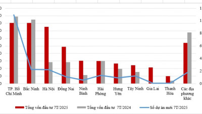 Hậu sáp nhập, địa phương nào dẫn đầu về thu hút vốn FDI?