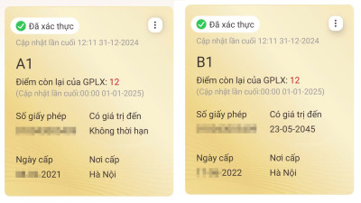 Bị trừ hết 12 điểm, phải làm gì để phục hồi bằng lái?