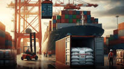 Giải phóng gần 500 container chè của Việt Nam bị kẹt tại cảng Karachi, Pakistan