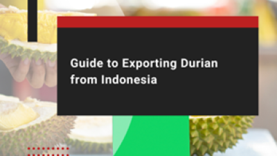 Indonesia gấp rút xử lý các vấn đề logistics để thúc đẩy xuất khẩu sầu riêng sang Trung Quốc
