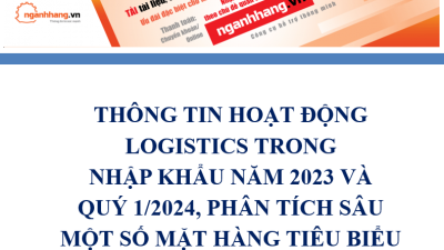 Thông tin hoạt động Logistics trong nhập khẩu năm 2023 và quý 1/2024, phân tích sâu một số mặt hàng tiêu biểu