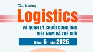 Thị trường logistics và quản lý chuỗi cung ứng Việt Nam và thế giới tháng 6 năm 2026 và dự báo