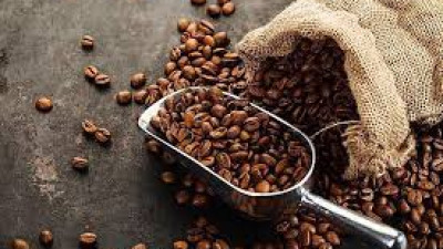 Áp dụng kỹ thuật số để thực thi Quy định chống phá rừng của EU trong ngành cà phê