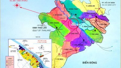Tập đoàn vận tải biển MSC của Thụy Sĩ được giới thiệu đầu tư bến cảng ở Cần Thơ