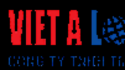 Việt Á logistics chuyên cung cấp dịch vụ Hải quan, vận chuyển hàng chọn gói ưu tín nhất Việt Nam