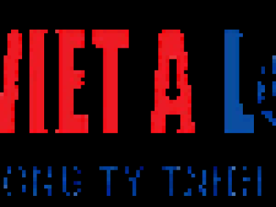 Việt Á logistics chuyên cung cấp dịch vụ Hải quan, vận chuyển hàng chọn gói ưu tín nhất Việt Nam