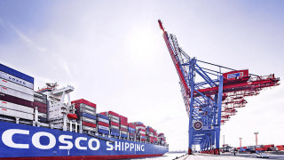 COSCO nối lại các đơn hàng vận chuyển đến UAE, Ả Rập Xê Út, Bahrain, Qatar, Kuwait và Iraq.