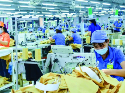 DN New Zealand tìm đối tác dệt may