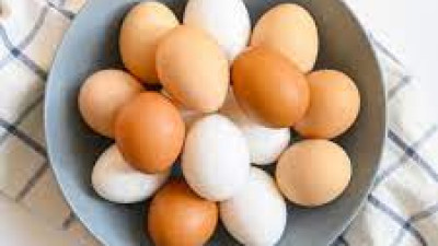 Doanh nghiệp Nga cần tìm đối tác