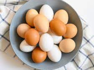 Doanh nghiệp Nga cần tìm đối tác