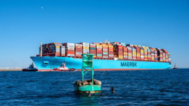 Hoa Kỳ phạt Maersk 1,9 triệu USD vì phí lưu giữ hàng hóa