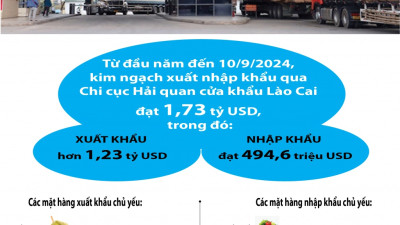 Những nông sản triệu đô xuất khẩu qua Hải quan cửa khẩu Lào Cai