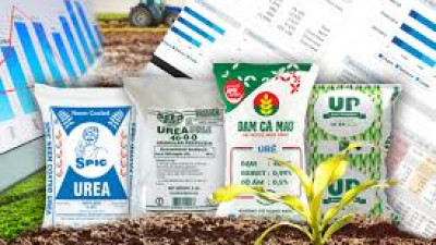 Dự báo thị trường và hoạt động của các doanh nghiệp ngành phân bón trong thời gian tới