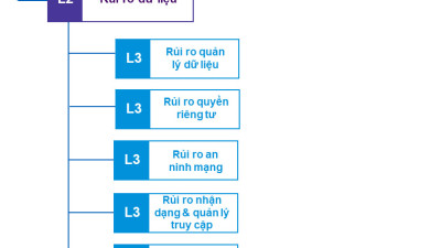 Quản lý rủi ro dữ liệu