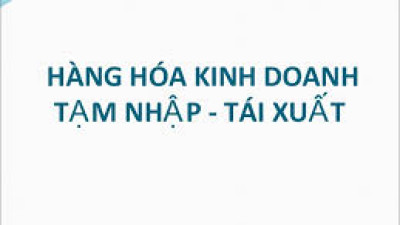 Các trường hợp hàng hóa nhập khẩu phải tái xuất được hoàn thuế