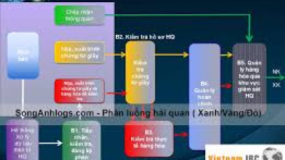 Thí điểm quản lý hải quan tự động với hàng hóa XNK, quá cảnh tại cảng biển và cảng hàng không