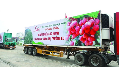 Doanh nghiệp mở rộng thị trường xuất khẩu hàng hóa qua thương mại điện tử